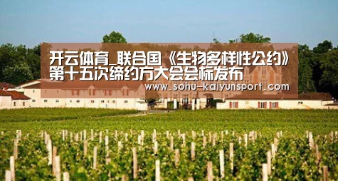 开云体育_联合国《生物多样性公约》第十五次缔约方大会会标发布(图2) 赛事数据
